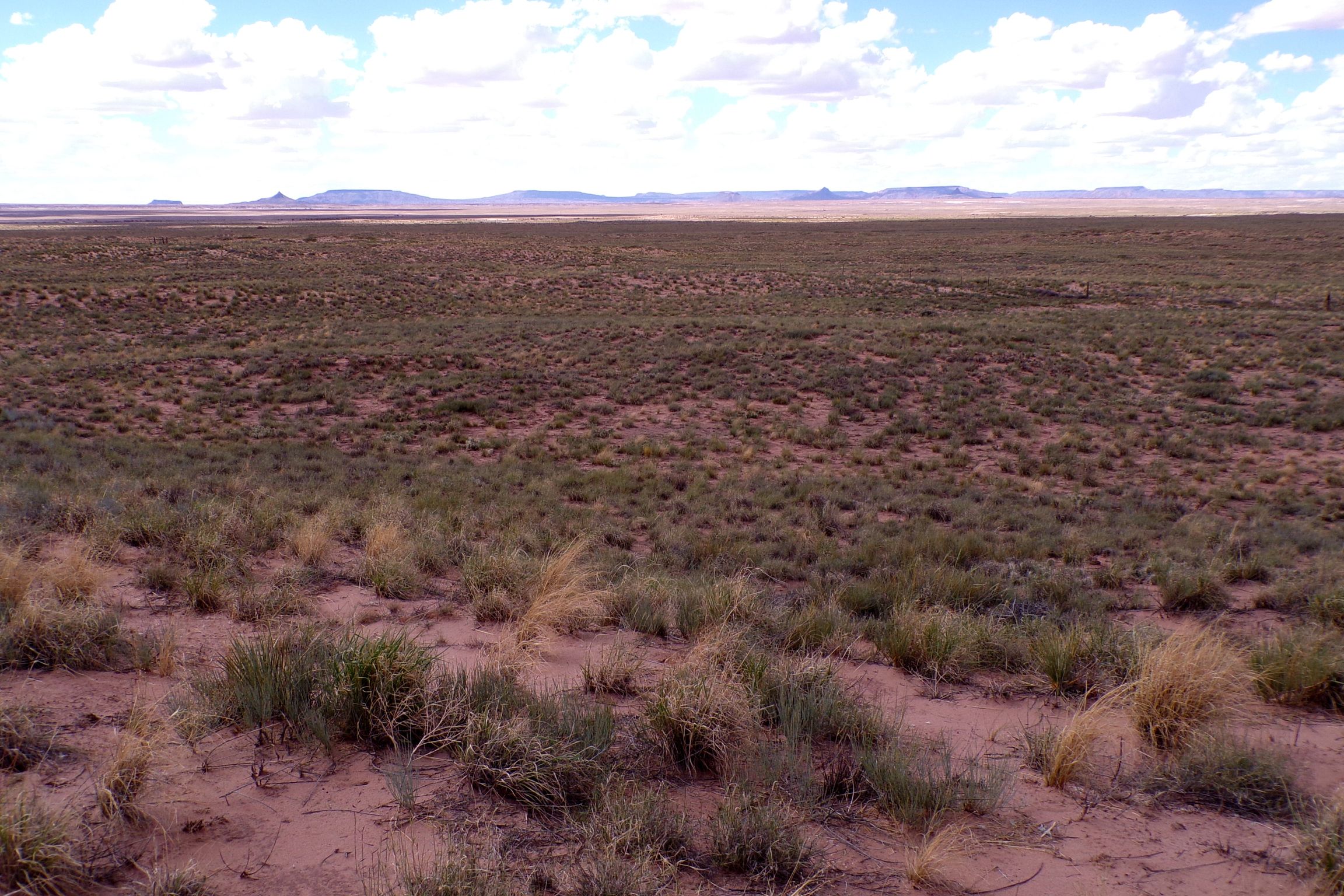 1.30 acres in Navajo County, AZ — APN 105-59-131