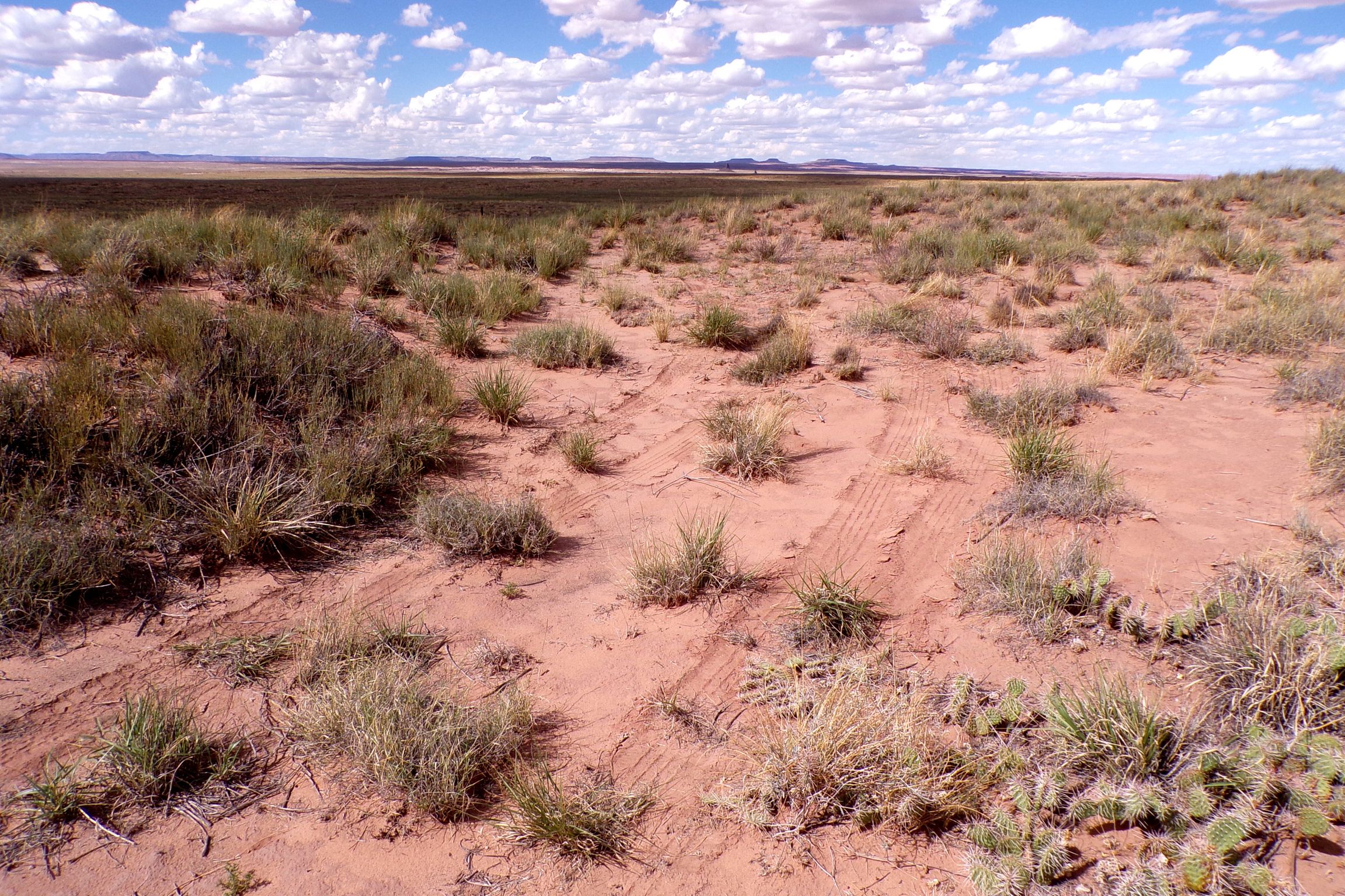 1.30 acres in Navajo County, AZ — APN 105-59-131