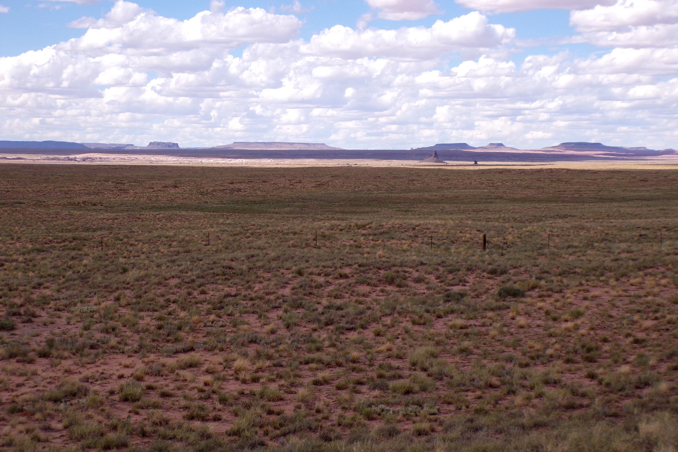 1.30 acres in Navajo County, AZ — APN 105-59-131