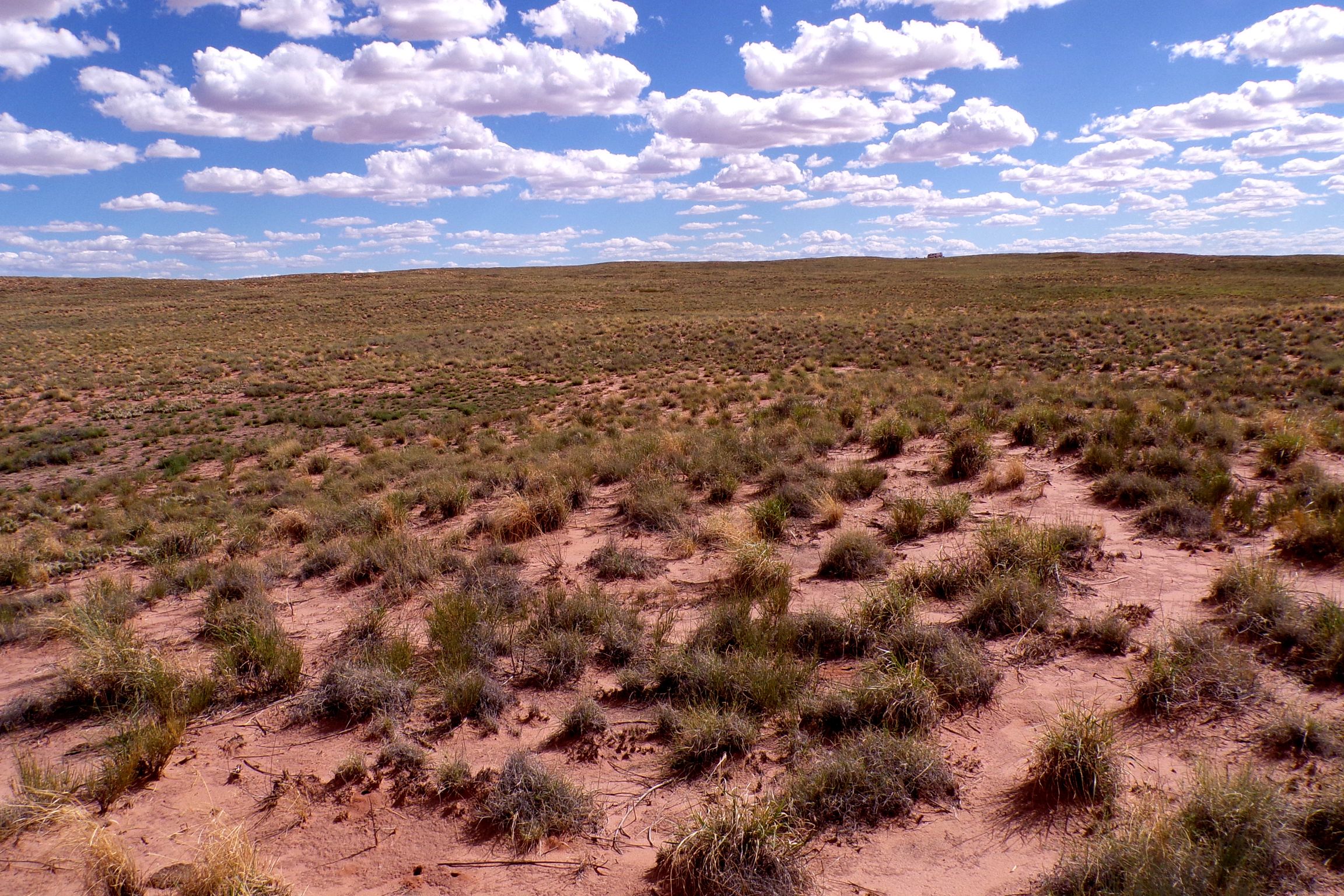 1.30 acres in Navajo County, AZ — APN 105-59-131