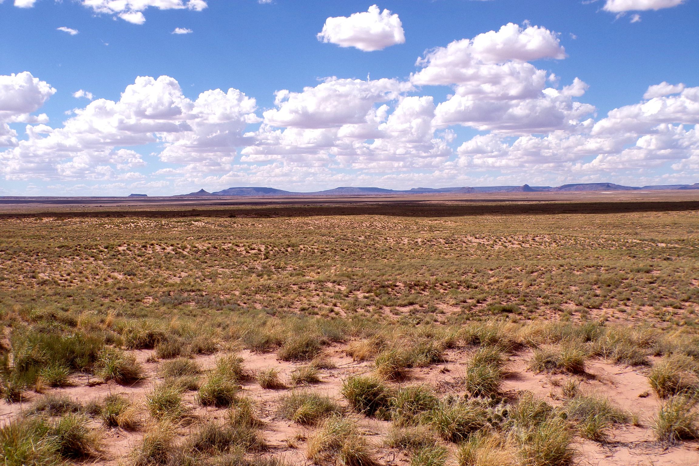 1.30 acres in Navajo County, AZ — APN 105-59-131