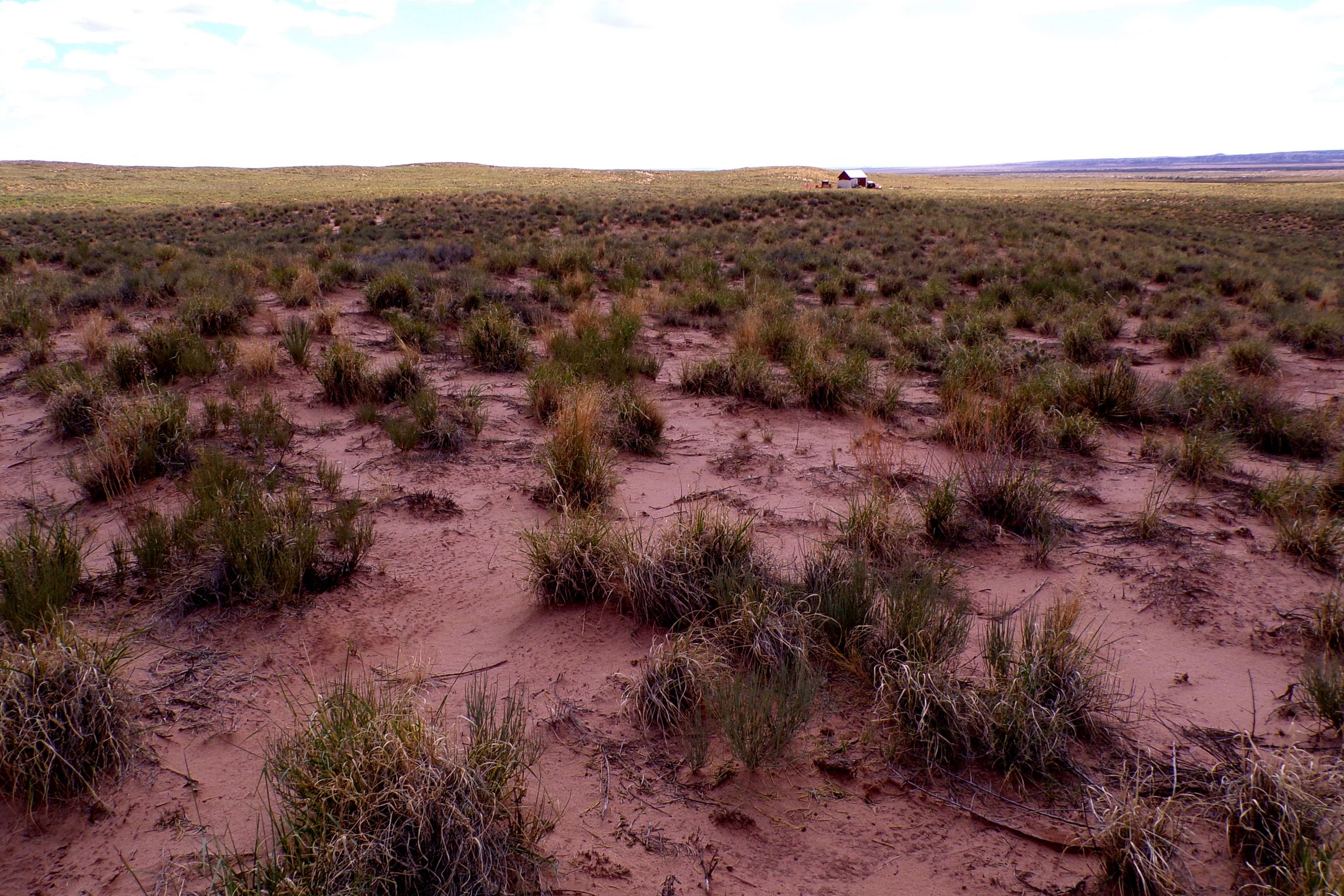 1.30 acres in Navajo County, AZ — APN 105-59-131