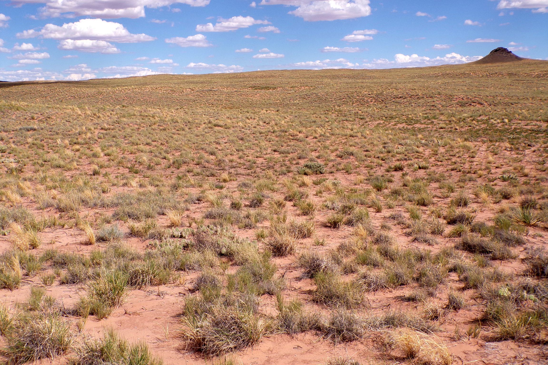 1.30 acres in Navajo County, AZ — APN 105-59-131