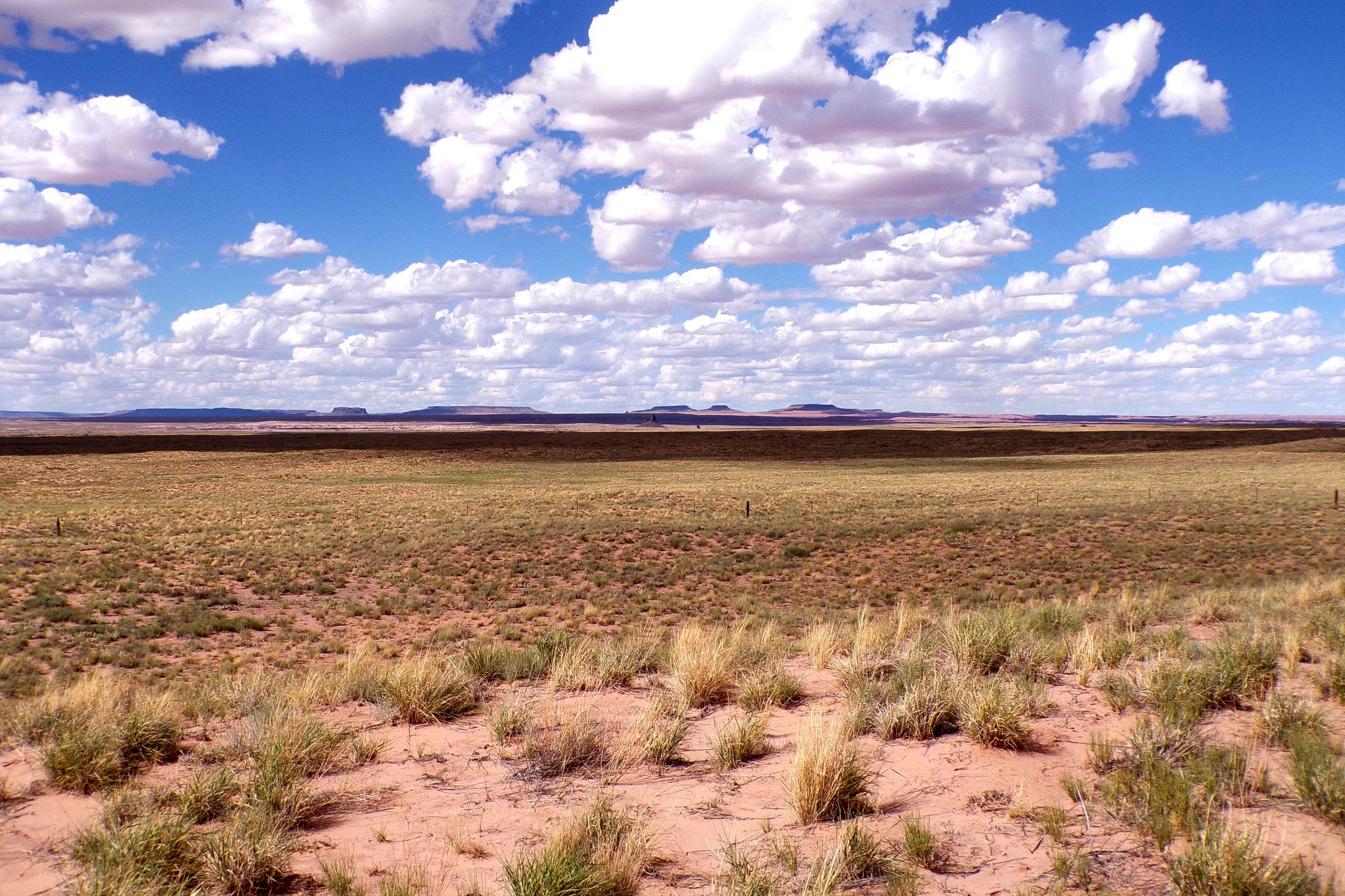1.30 acres in Navajo County, AZ — APN 105-59-131