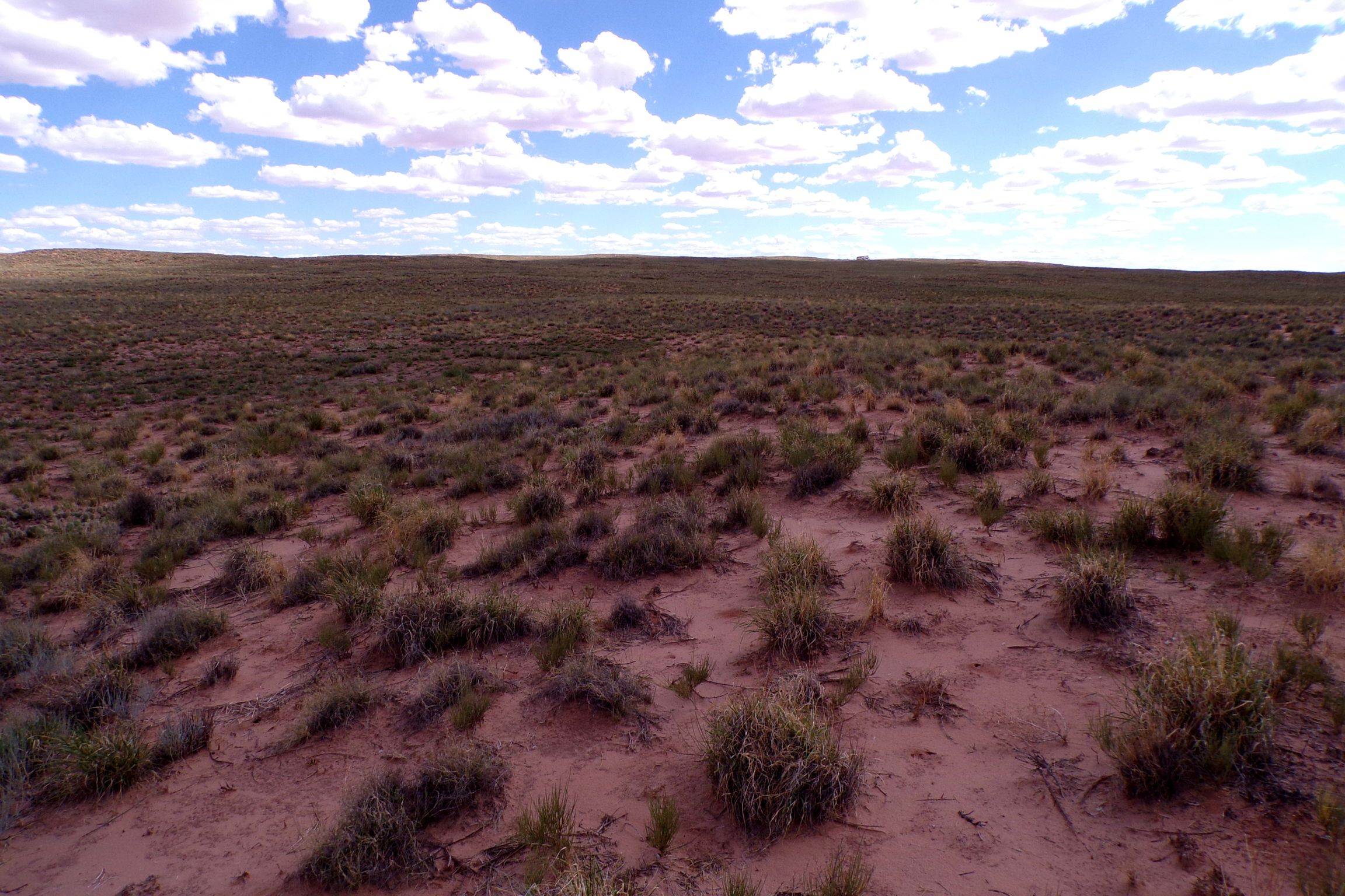 1.30 acres in Navajo County, AZ — APN 105-59-131