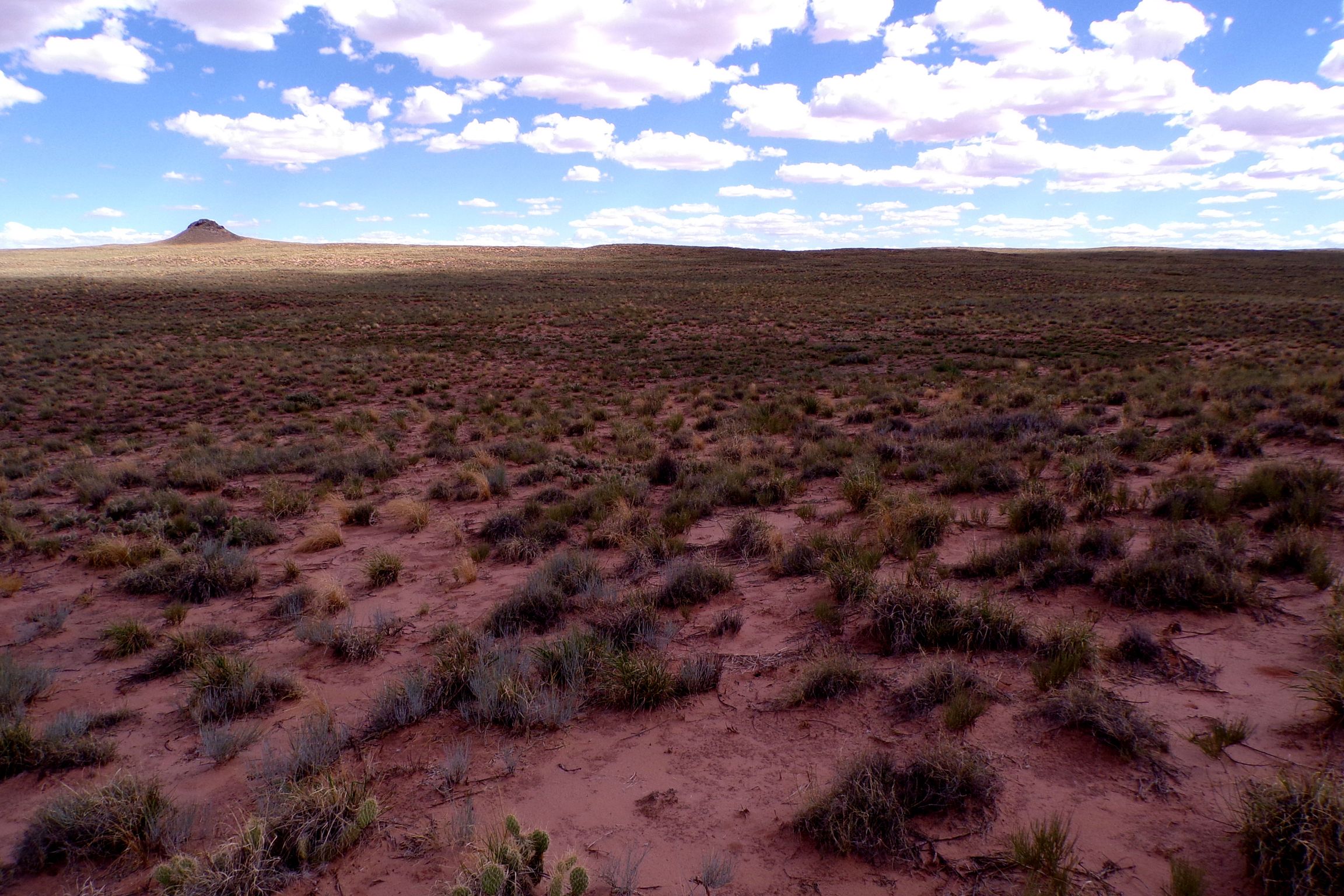 1.30 acres in Navajo County, AZ — APN 105-59-131