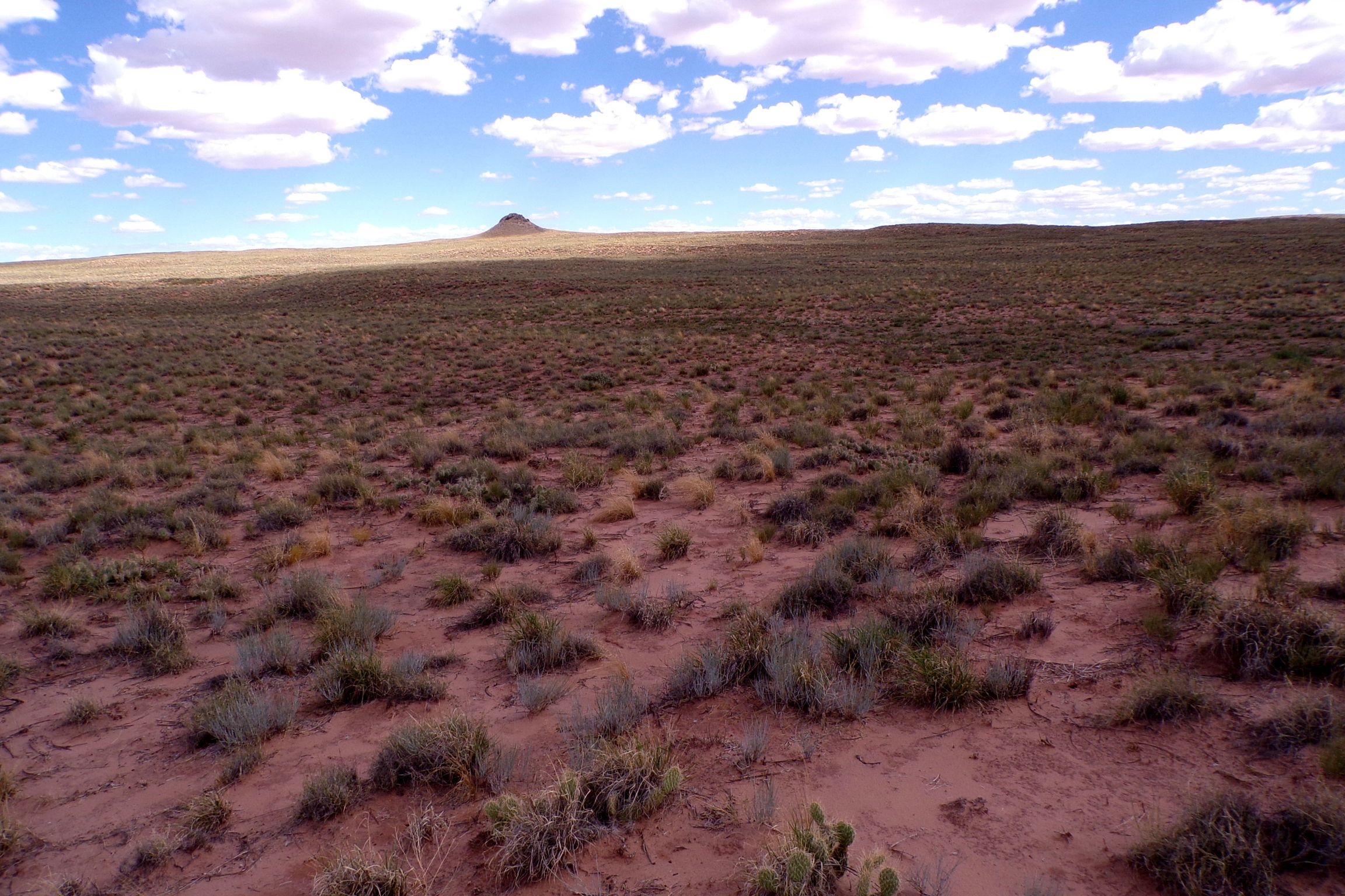 1.30 acres in Navajo County, AZ — APN 105-59-131