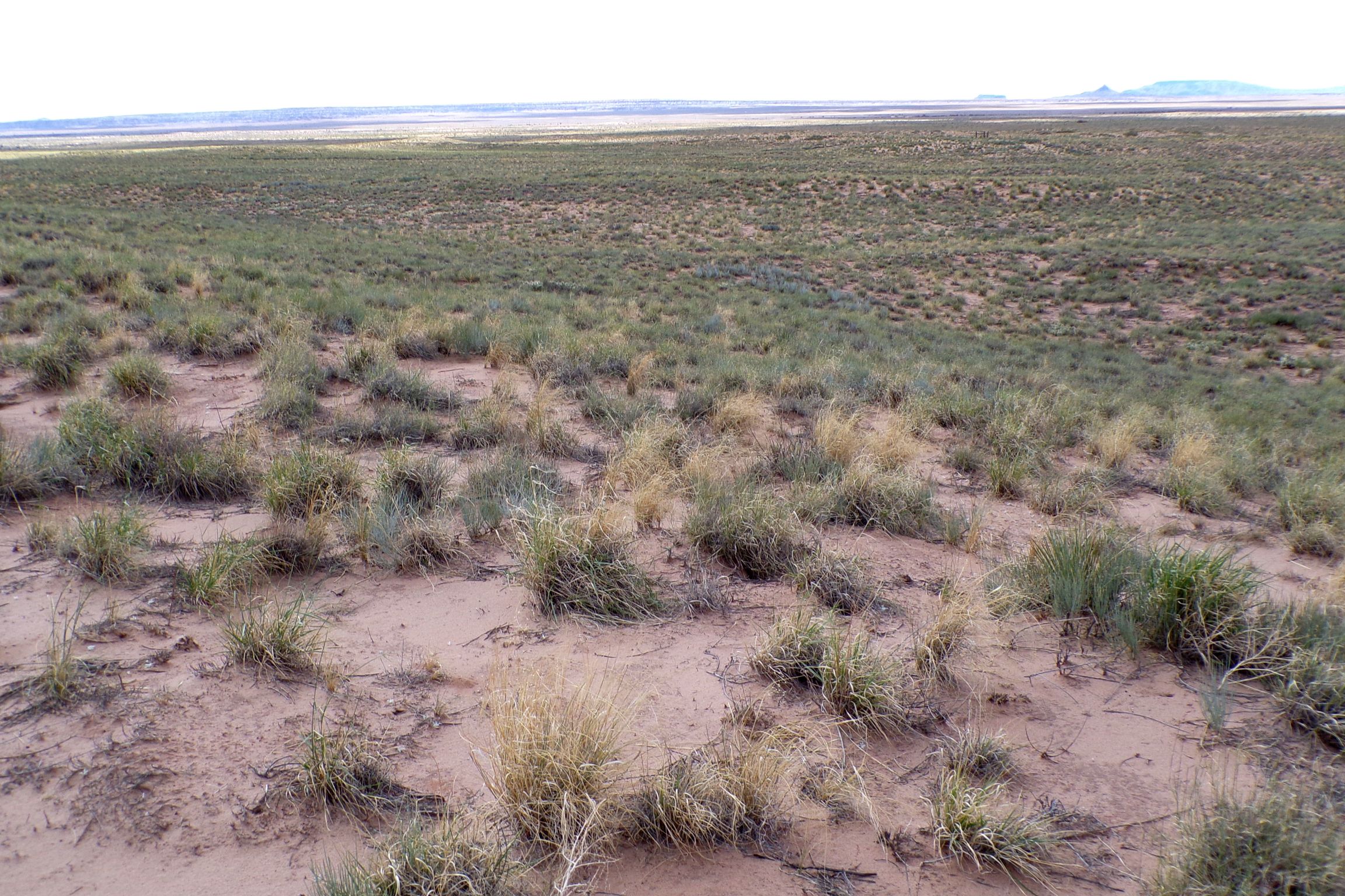 1.30 acres in Navajo County, AZ — APN 105-59-131
