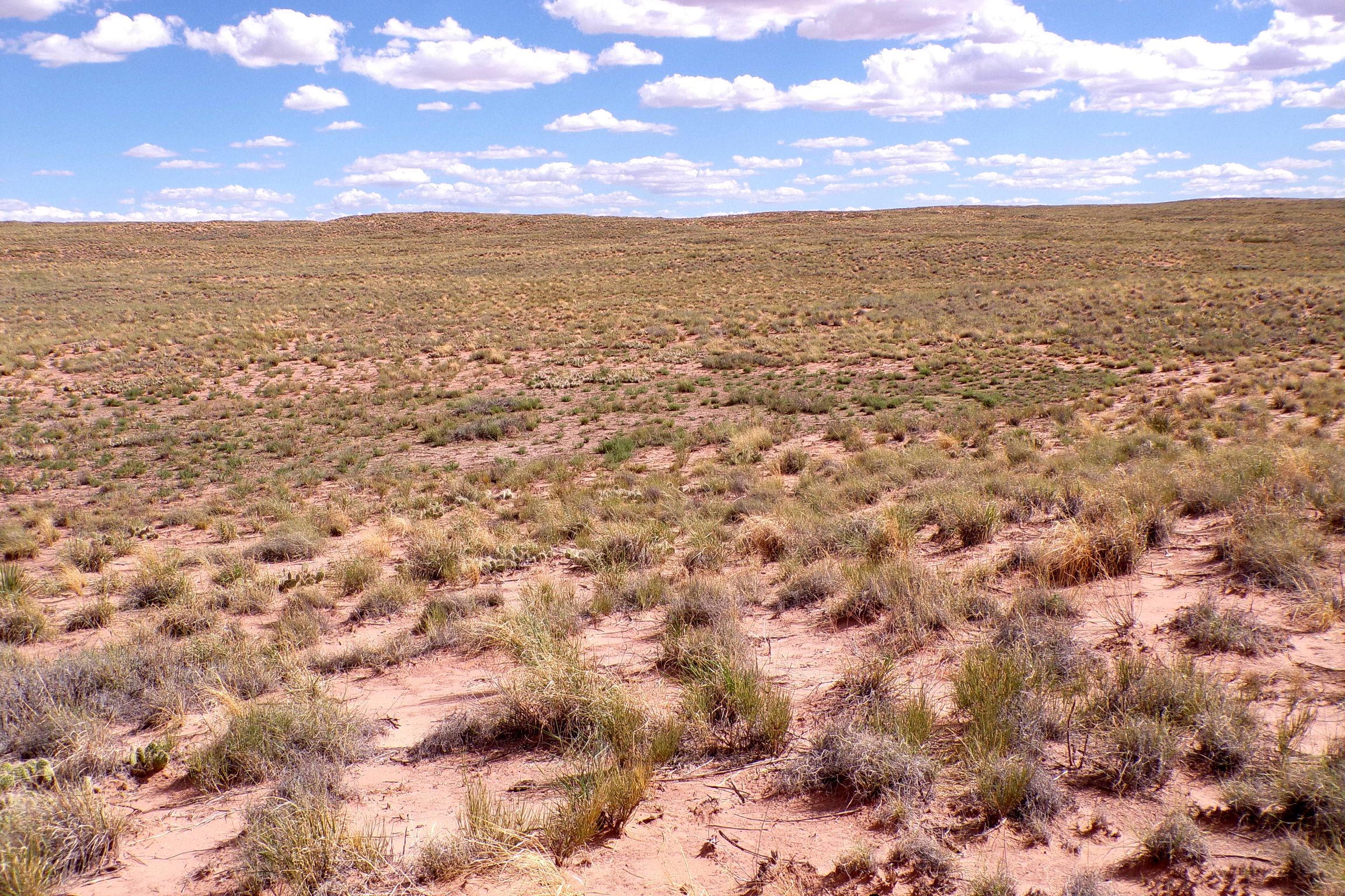 1.30 acres in Navajo County, AZ — APN 105-59-131