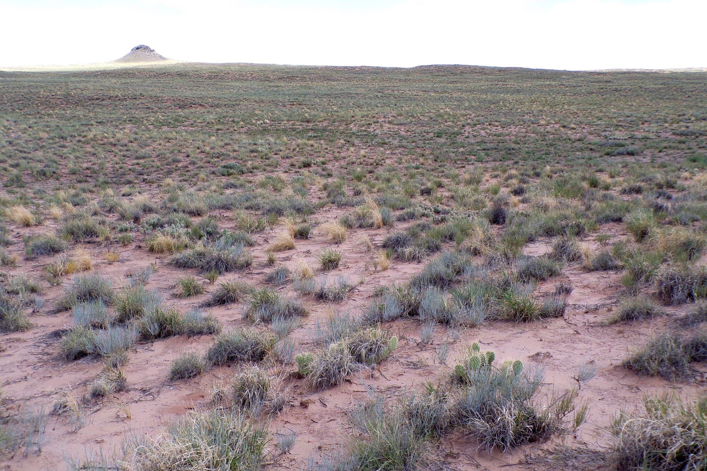 1.30 acres in Navajo County, AZ — APN 105-59-131