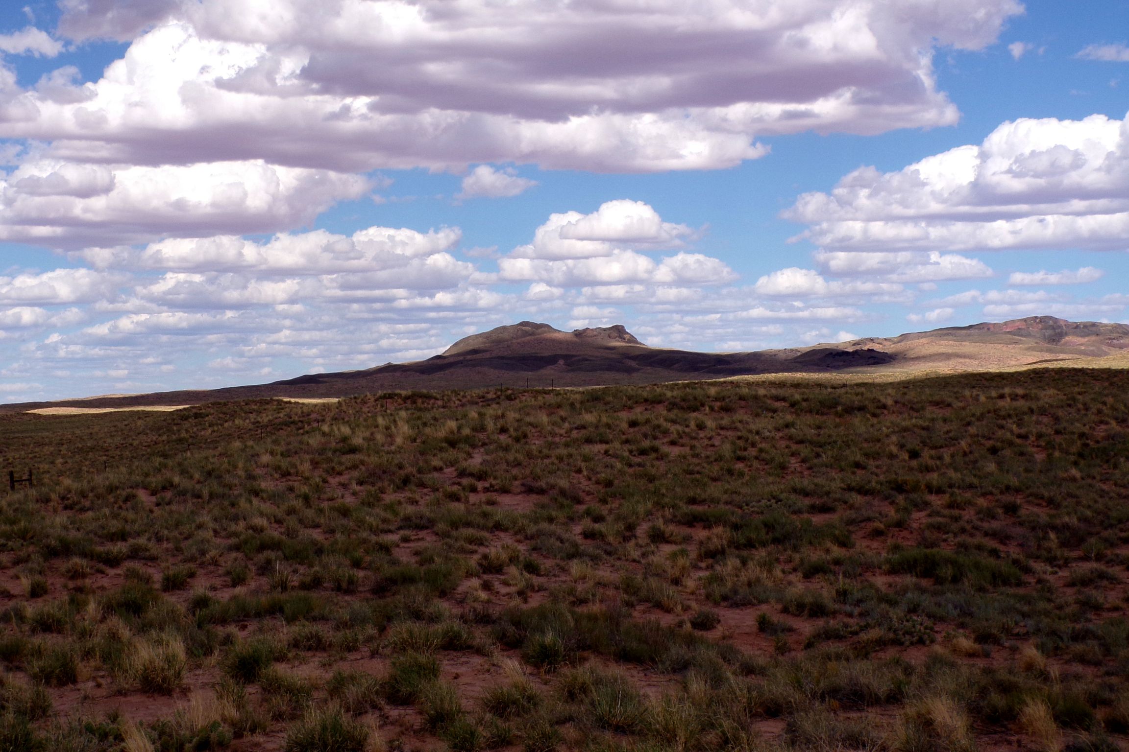 1.30 acres in Navajo County, AZ — APN 105-59-131