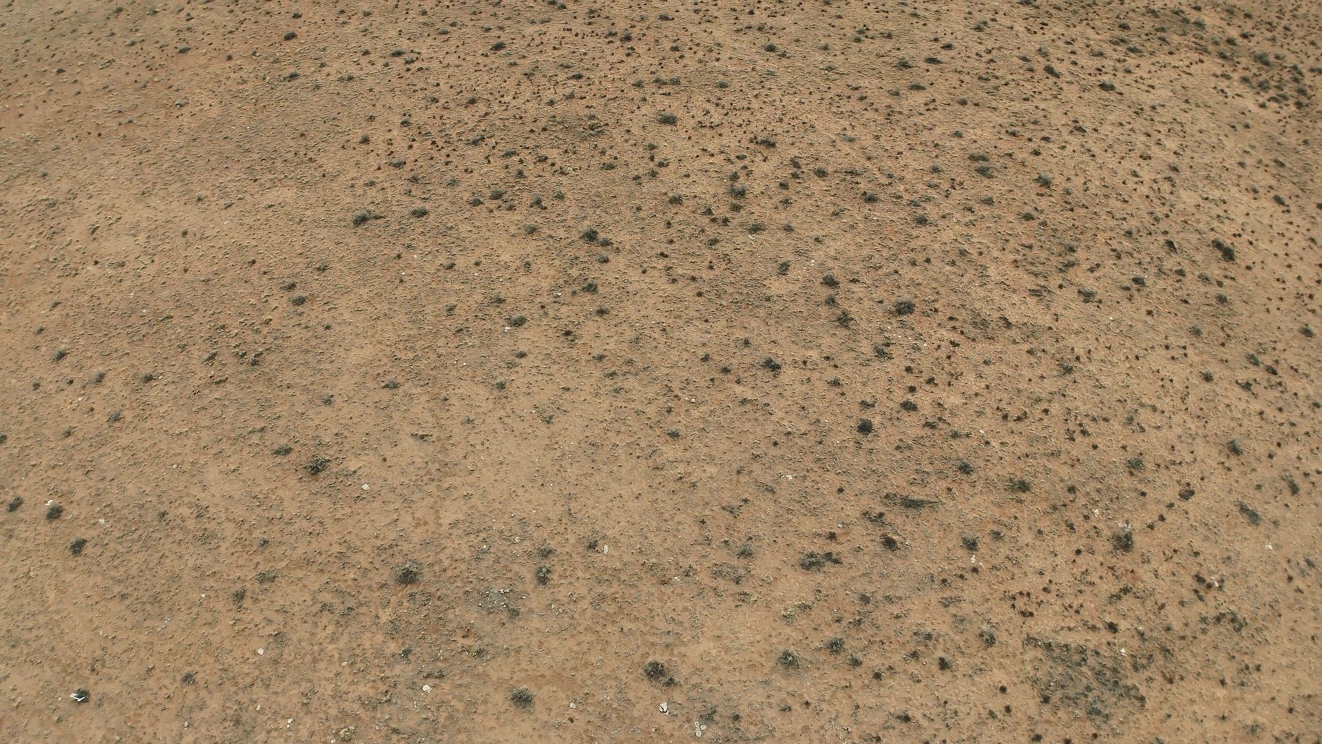 1.14 acres in Navajo County, AZ — APN 106-02-258