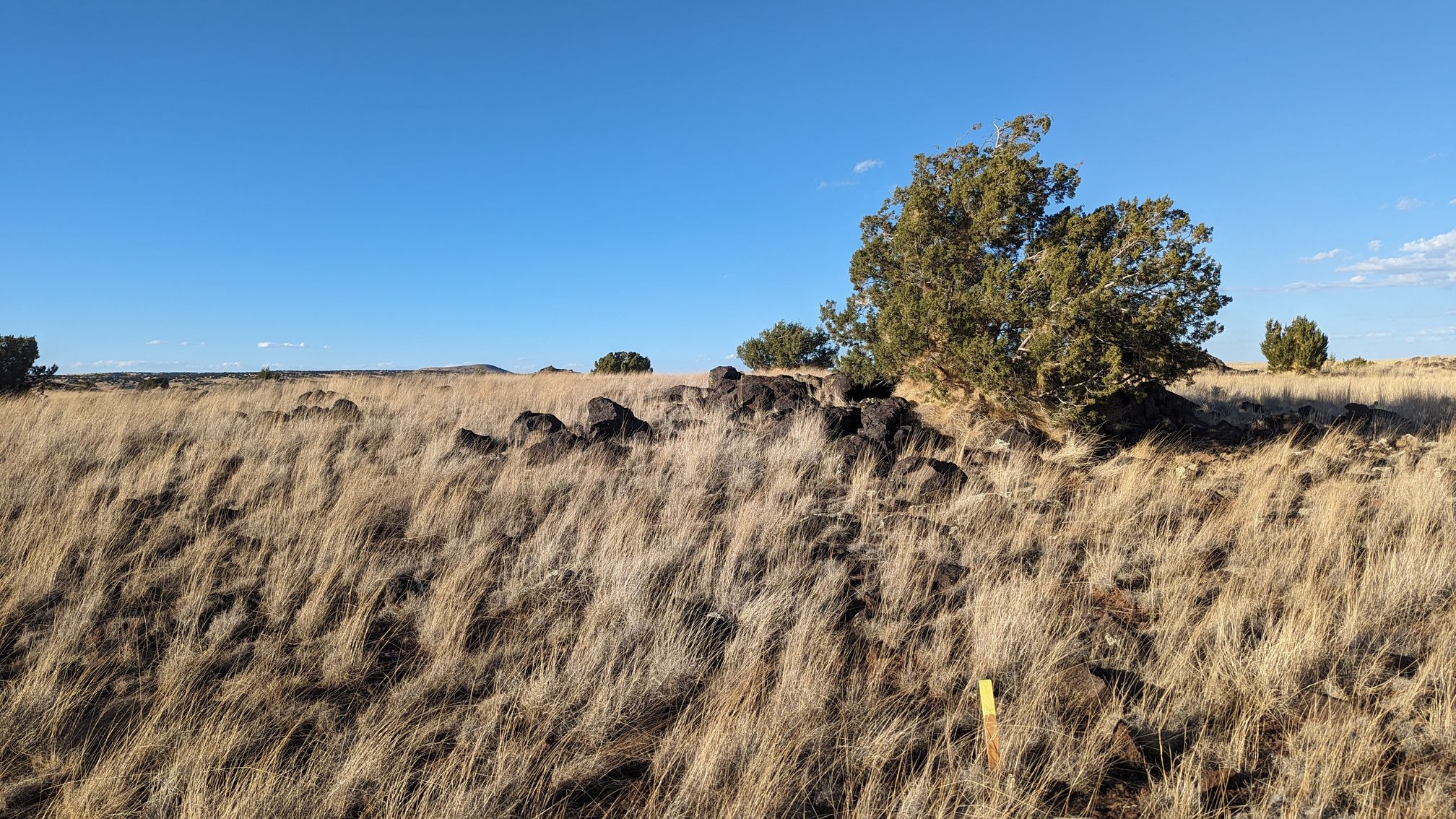 1.00 acres in Apache County, AZ — APN 107-33-522