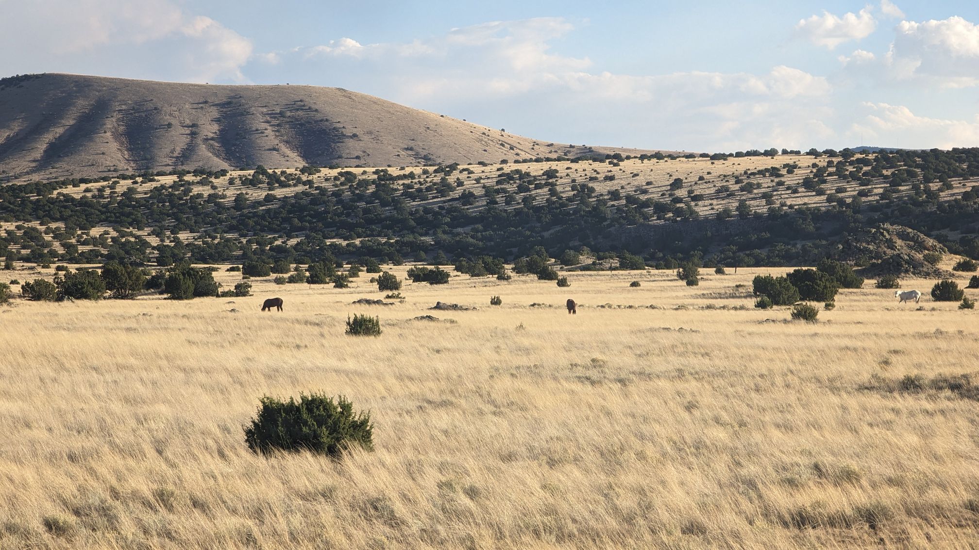 1.00 acres in Apache County, AZ — APN 107-33-522