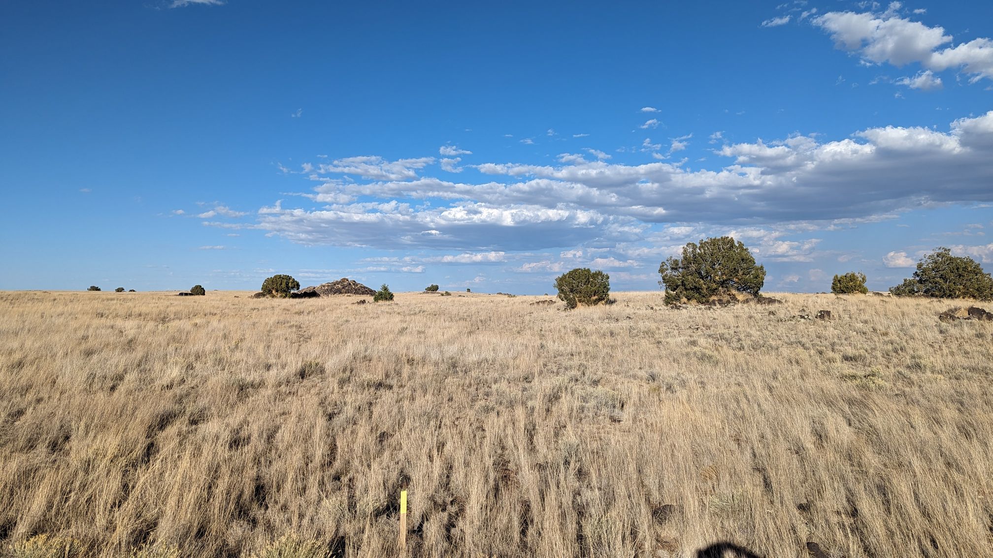 1.00 acres in Apache County, AZ — APN 107-33-522