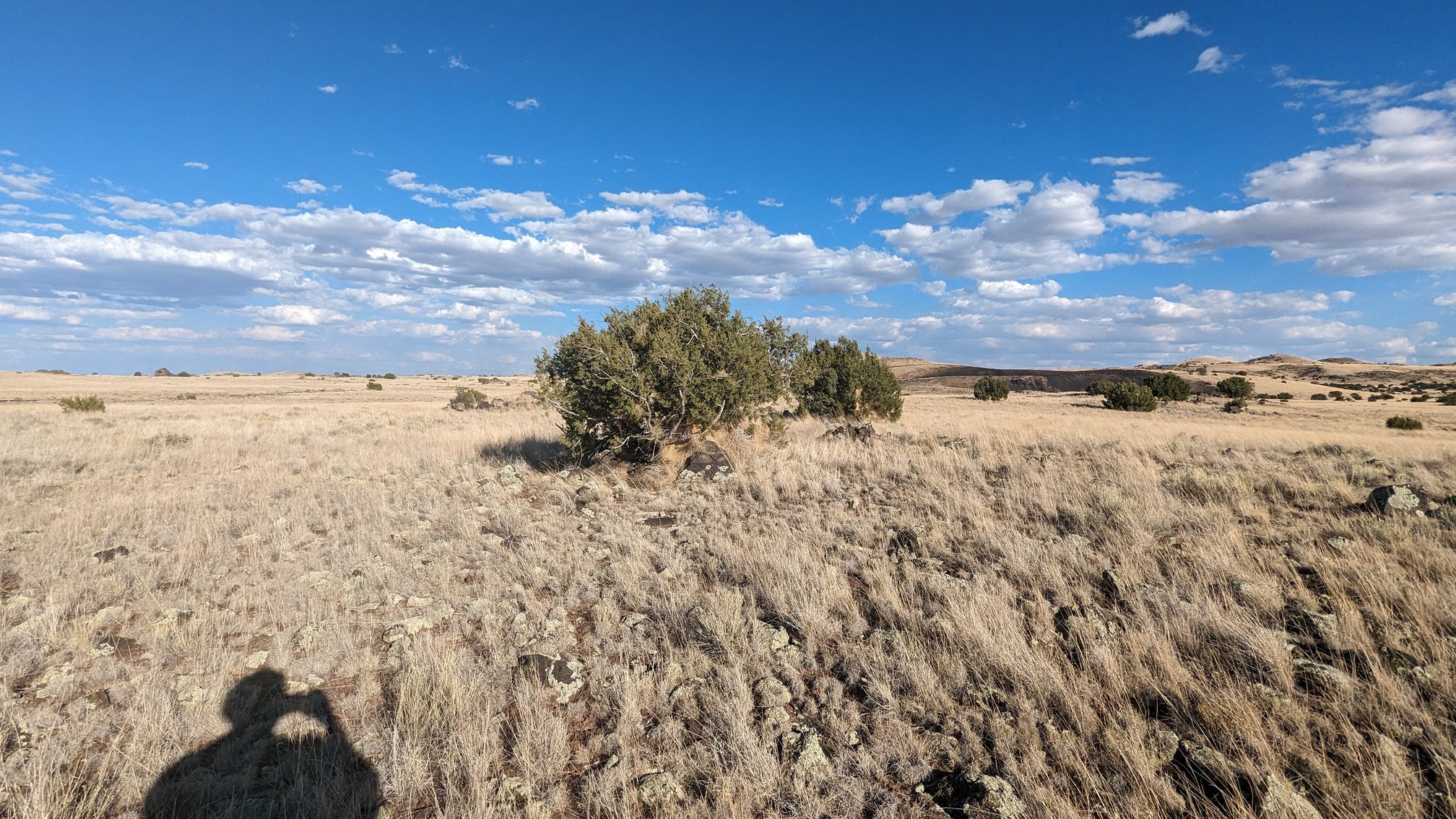 1.00 acres in Apache County, AZ — APN 107-33-522