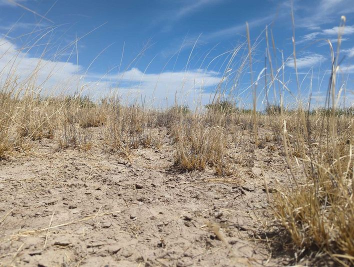 0.54 acres in Cochise County, AZ — APN 207-15-097