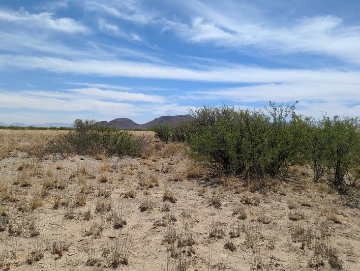 0.54 acres in Cochise County, AZ — APN 207-15-097