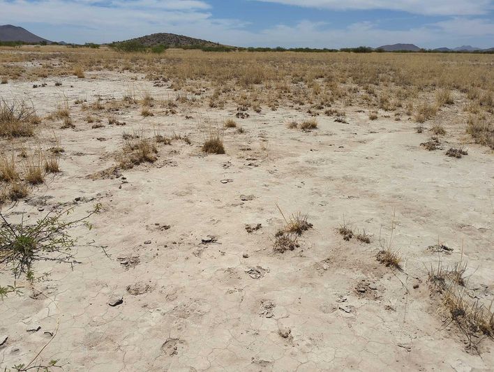 0.54 acres in Cochise County, AZ — APN 207-15-097
