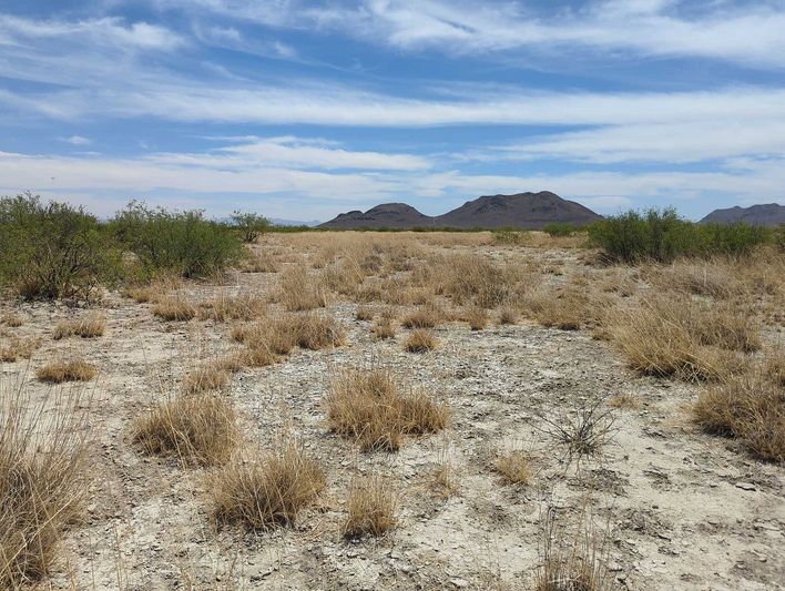 0.54 acres in Cochise County, AZ — APN 207-15-097
