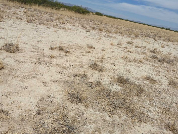 0.54 acres in Cochise County, AZ — APN 207-15-097