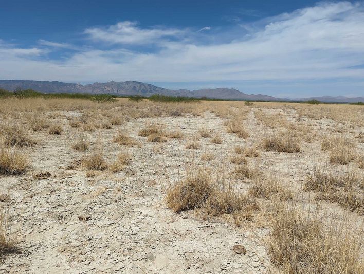 0.54 acres in Cochise County, AZ — APN 207-15-097