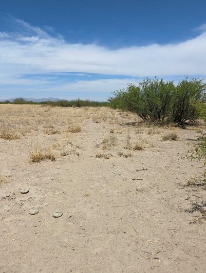 0.54 acres in Cochise County, AZ — APN 207-15-097