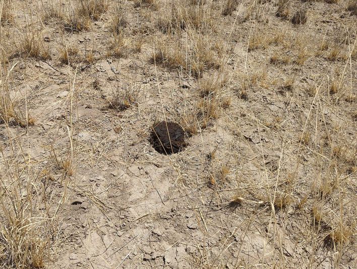 0.54 acres in Cochise County, AZ — APN 207-15-097